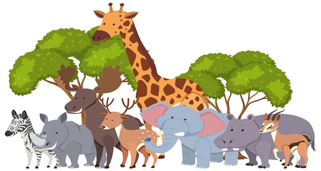 Cute african animals in flat style