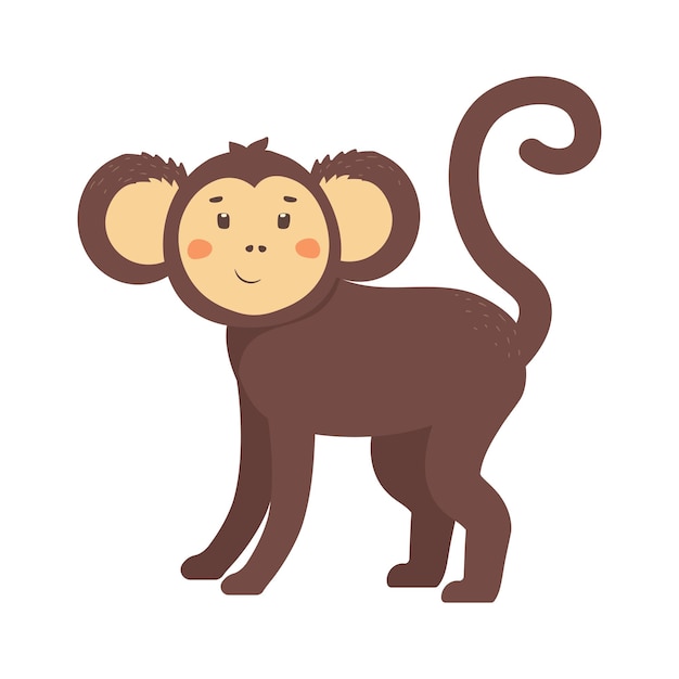 Cute african monkey. marmoset or macaque with brown hair. exotic jungle animal