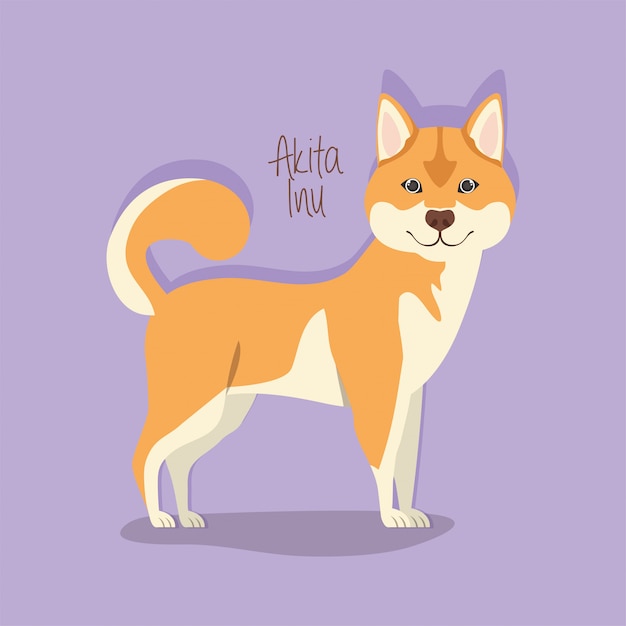 Cute akita inu dog pet character