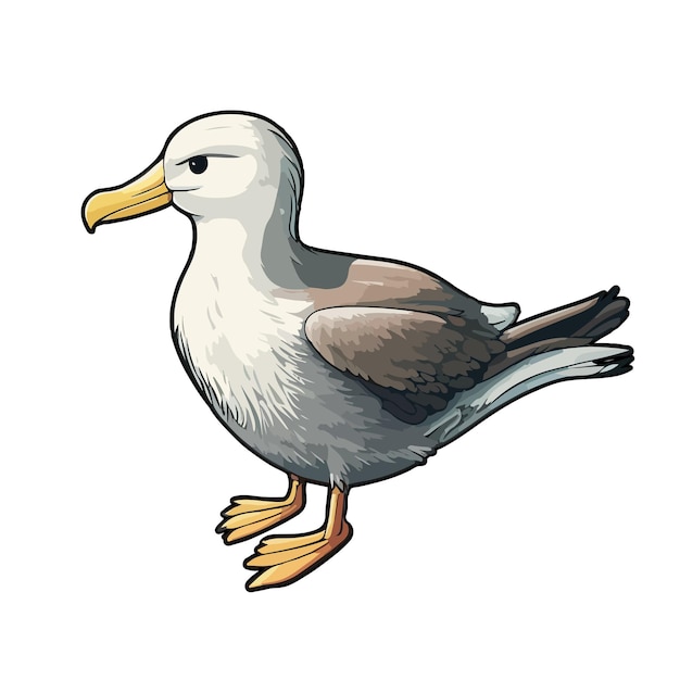 Cute albatross cartoon style