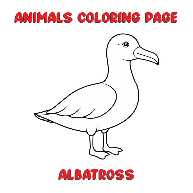 Vector cute albatross outline art illustration coloring page book for kids