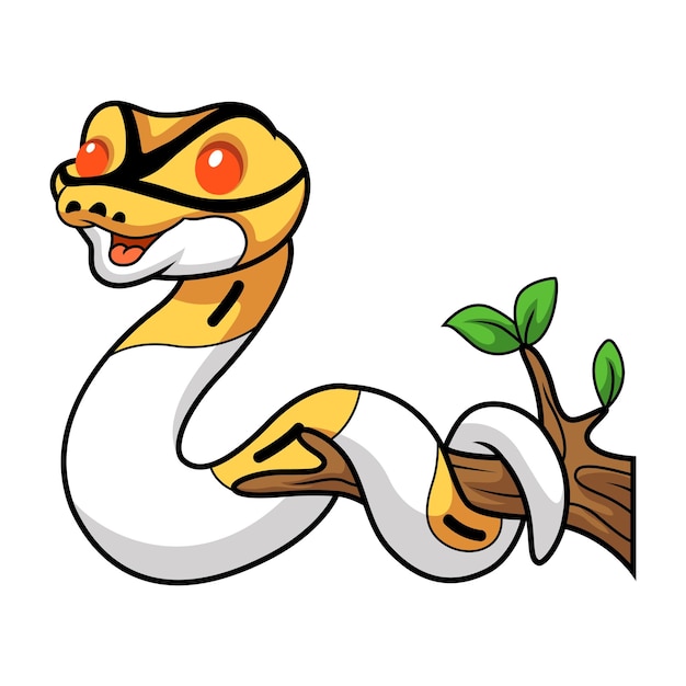 Vector cute albino pied ball python cartoon on tree branch