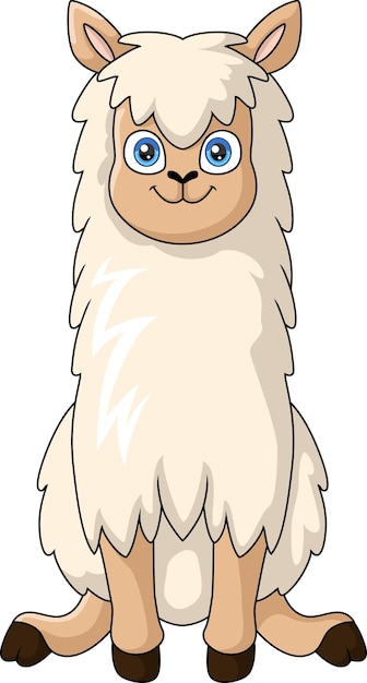 Vector cute alpaca cartoon on white background