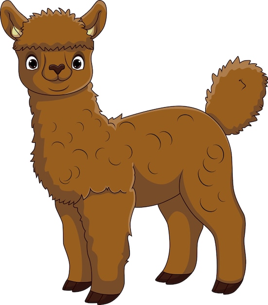 Cute alpaca cartoon on white background