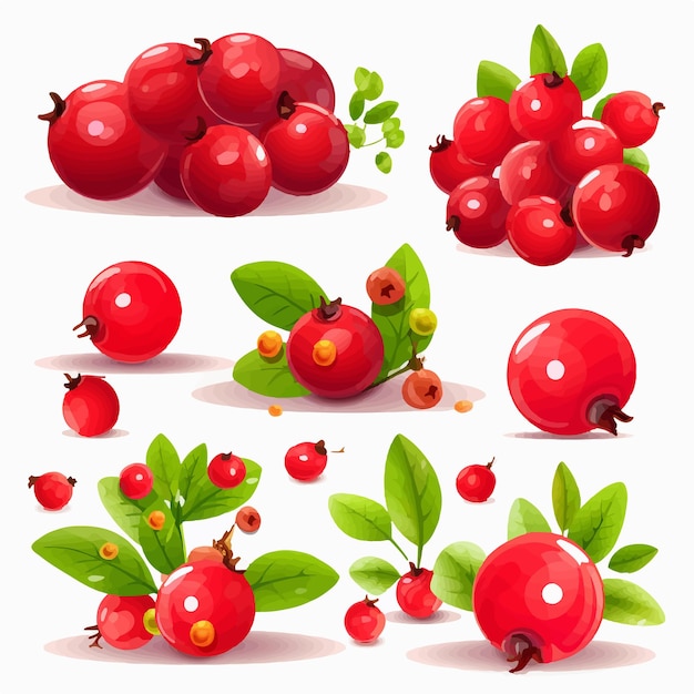 Вектор Симпатичная и красочная графика cranberry