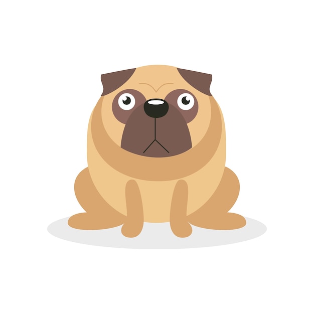 Vettore carino arrabbiato pug cane personaggio animale domestico cane fumetto illustrazione su sfondo bianco
