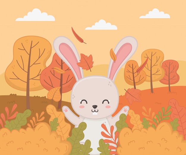 cute animal in autumn season