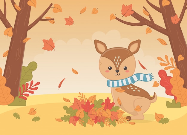 Cute animal in autumn season