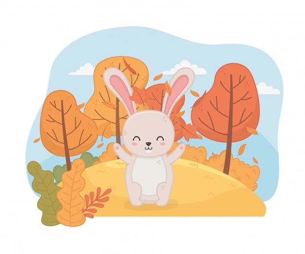 Cute animal in autumn season