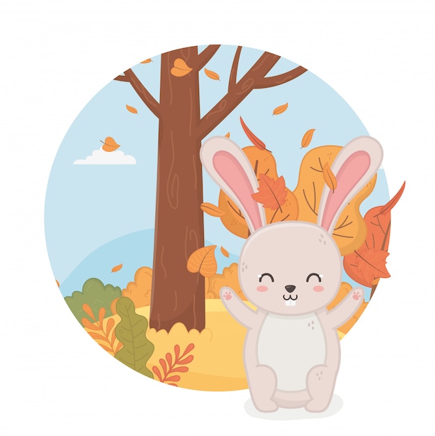 cute animal in autumn season