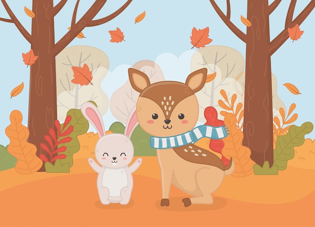 Cute animal in autumn season