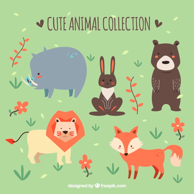 Cute animal collection