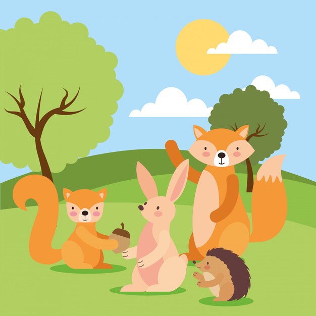 cute animal in nature