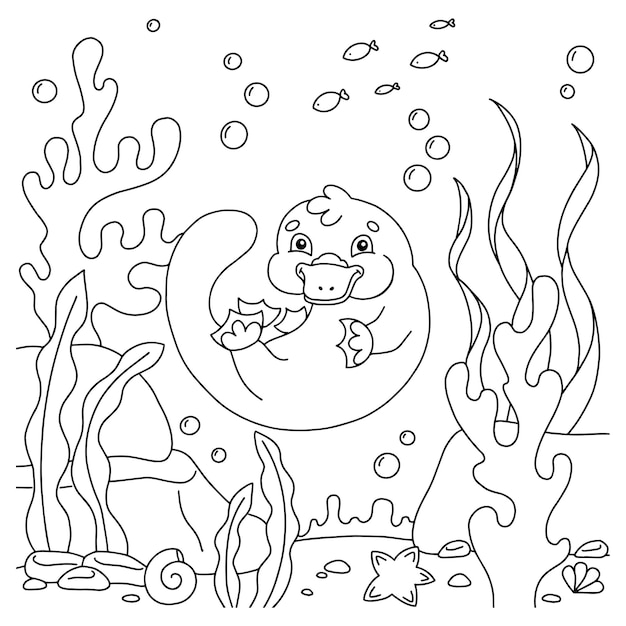 Vector cute animal platypus coloring book page for kids