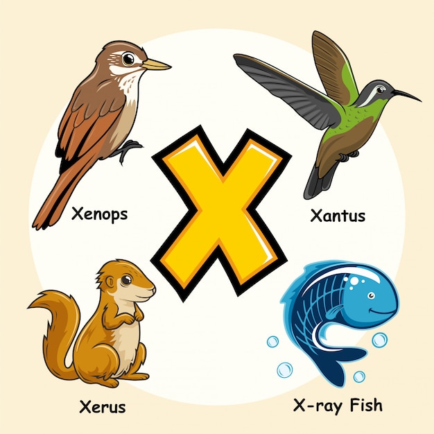 Premium Vector | Cute animals alphabet letter x