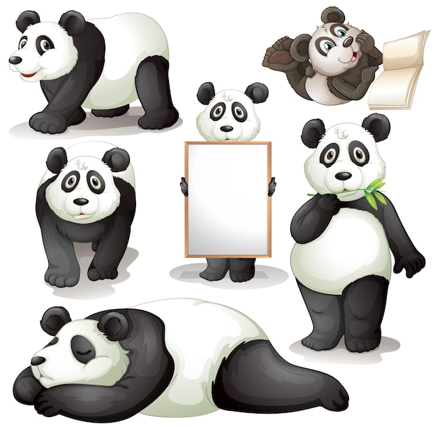 Cute Animal Design Represented By Kawaii Panda Icon. Colorfull And Flat  Illustration. Royalty Free SVG, Cliparts, Vectors, and Stock Illustration.  Image 59826232.