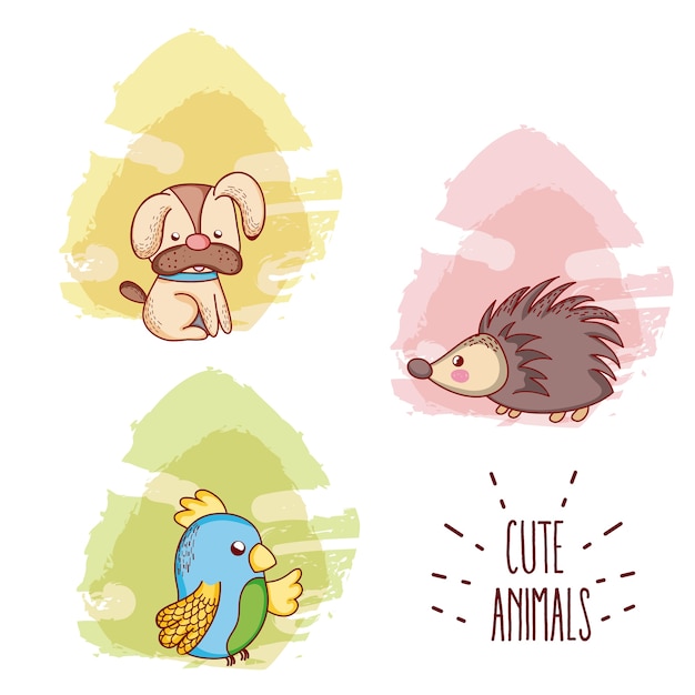 Cute animals cartoons