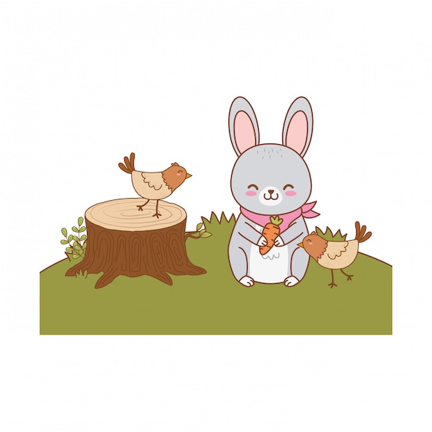 Cute animals in the field woodland characters