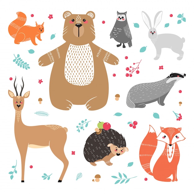 Cute animals: fox, badger, squirrel, owl, deer, doe, roe deer, hare, rabbit, hedgehog, bear and different elements. Illustration hand drawn