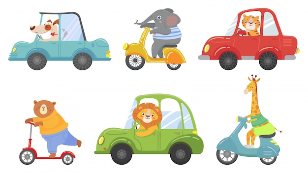 Cute animals on transport. animal on scooter, driving car and zoo travel cartoon vector illustration set