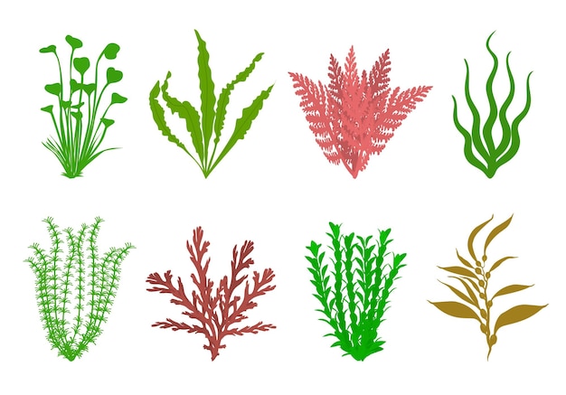 Vettore piante d'acquario carine impostano l'illustrazione piatta vettoriale
