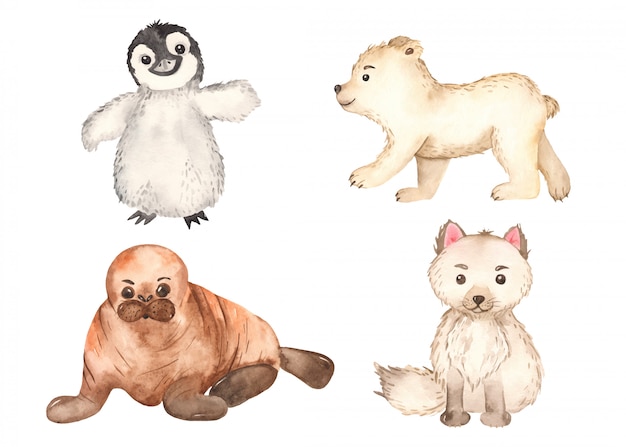 Вектор Симпатичные арктические животные. песец, пингвин, белый медведь, морж