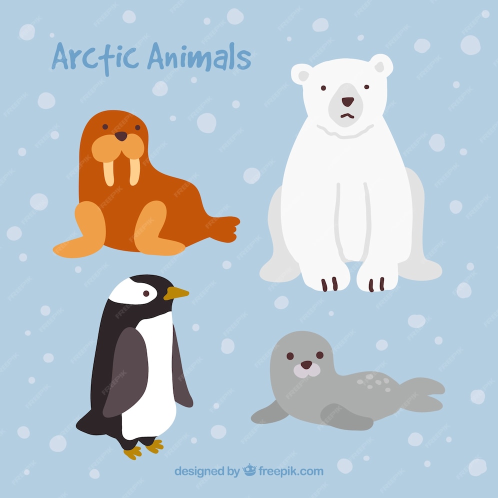 Premium Vector | Cute arctic animals