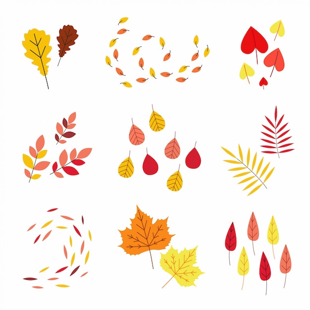 かわいい秋の平らな葉。秋の要素セット