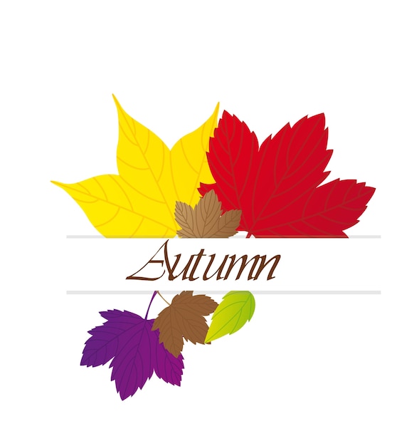 cute autumn leaves