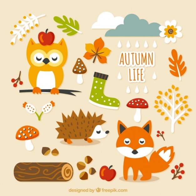 Vector cute autumn life