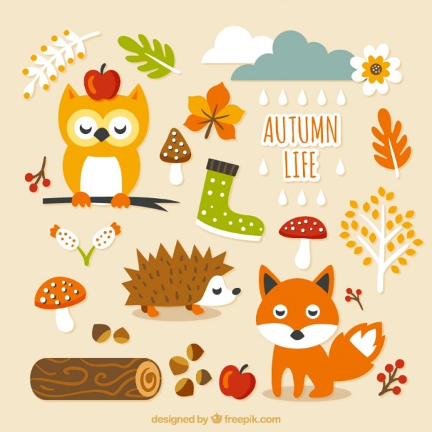 Cute autumn life