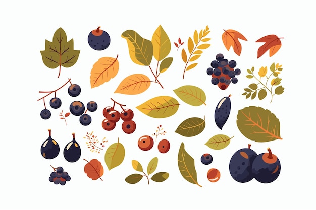 Симпатичный осенний набор различных ягод, листьев и фруктов, изолированных на белом фоне. Векторная иллюстрация мультфильма