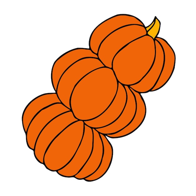 Cute autumn vector illustration hand drawn pumpkins