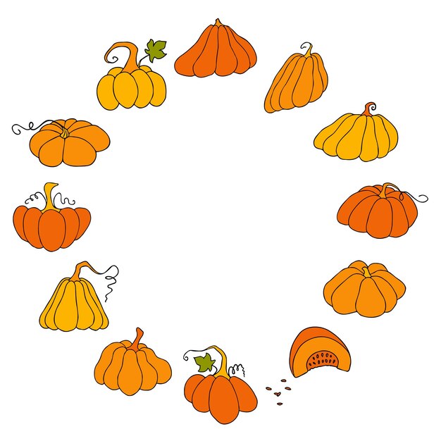 Cute autumn vector illustration hand drawn pumpkins