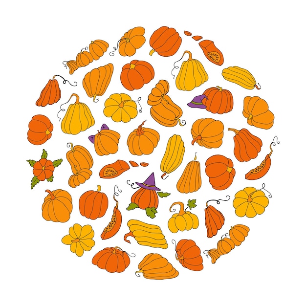 Cute autumn vector illustration hand drawn pumpkins