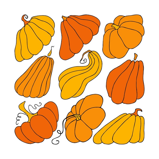 Vector cute autumn vector illustration hand drawn pumpkins