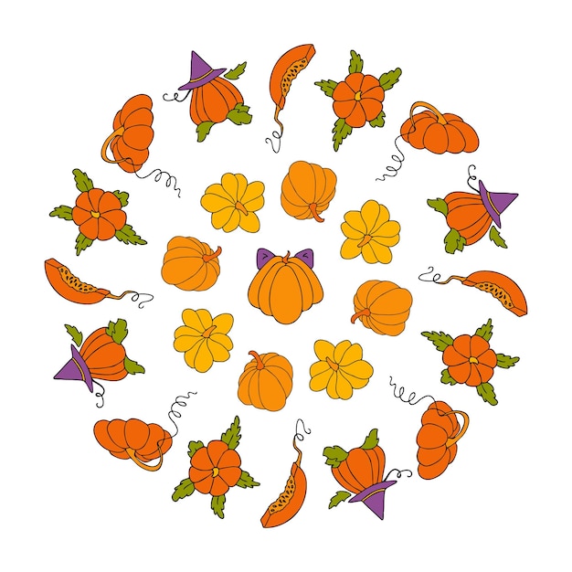 Cute autumn vector illustration hand drawn pumpkins