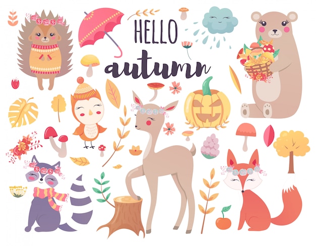 Cute autumn woodland animals and fall floral forest design elements