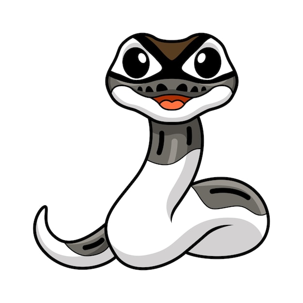 Cute axanthic pied ball python cartoon