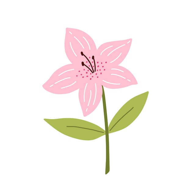 Cute azalea flower with leaves isolated on white hand drawn flat style