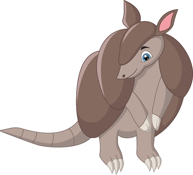 Vector cute baby armadillo cartoon standing