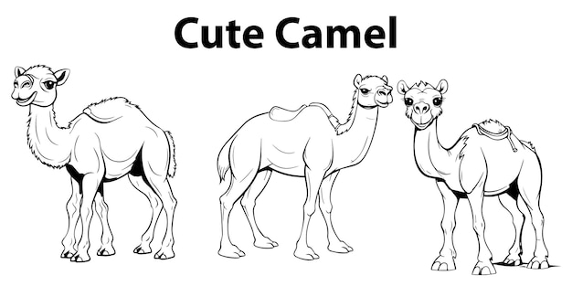 Cute and Baby Camel coloring page design for all kinds of people vector design