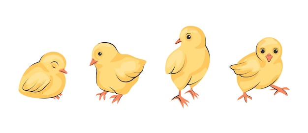 Cute baby chickens set in different poses for easter design Little yellow cartoon chicks