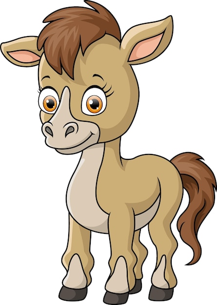 Cute baby donkey cartoon on white background