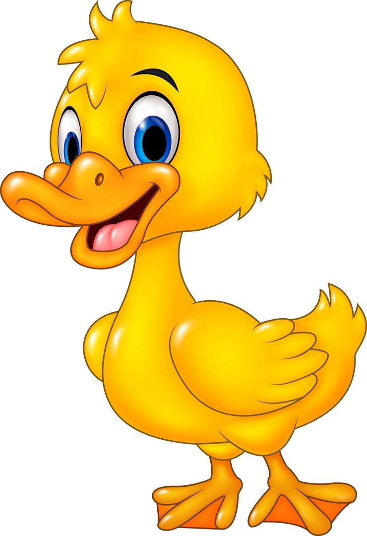 Vector cute baby duck posing isolated on white background 