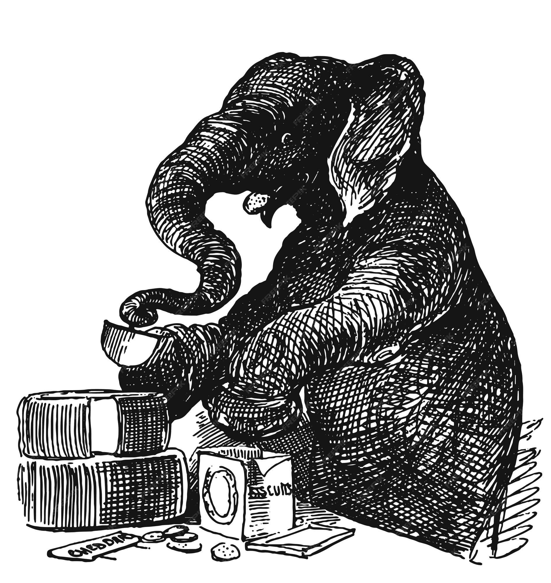 Premium Vector | Cute baby elephant eating vintage etching circa late