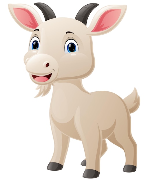 Cute baby goat cartoon on white background