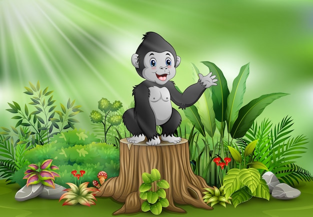 Cute baby gorilla standing on tree stump with green plants