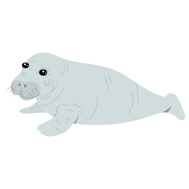 Vector cute baby manatee isolated on white background