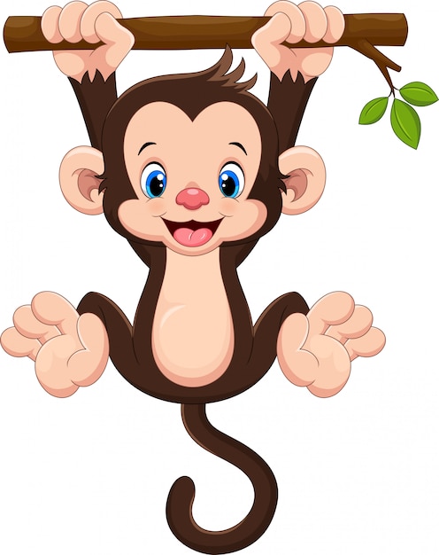 Cute baby monkey hanging on tree